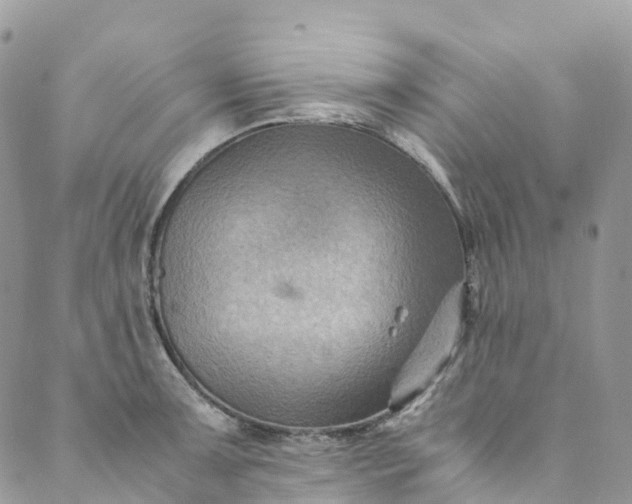 X0000089431091200706291308