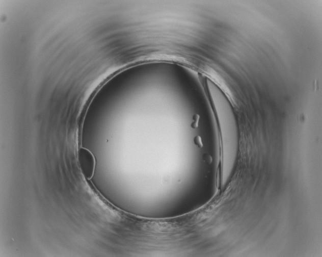 X0000089431092200706291308