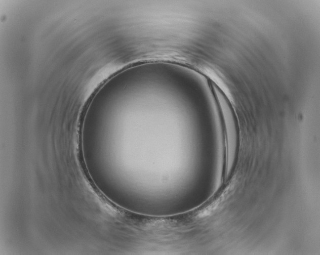 X0000089431093200706291308