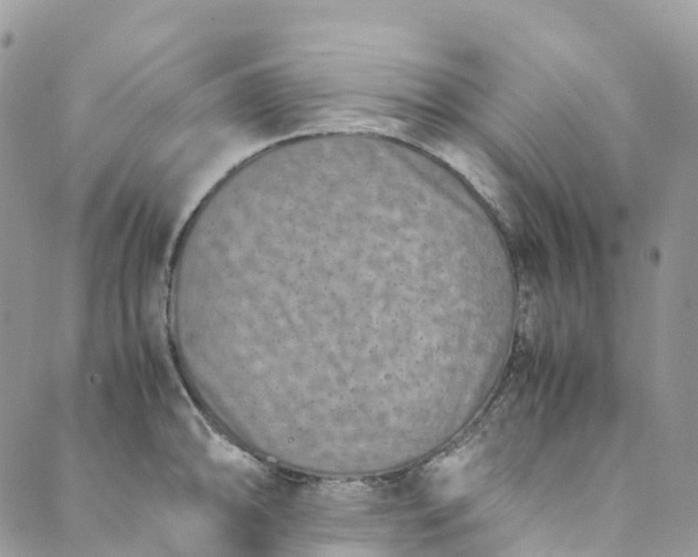 X0000089431094200706291308