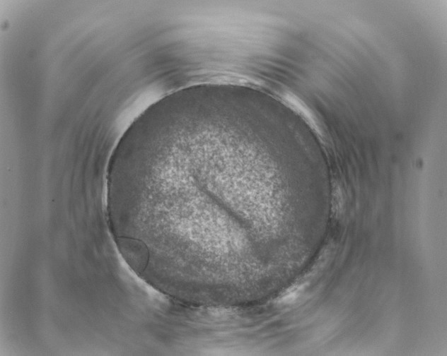 X0000089431095200706291308