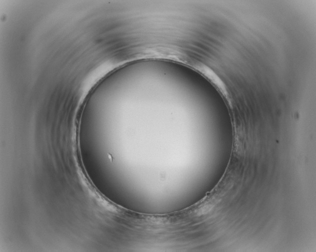 X0000089431096200706291308