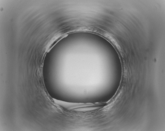 X0000089431097200706291308