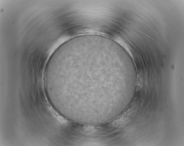 X0000089431098200706291308