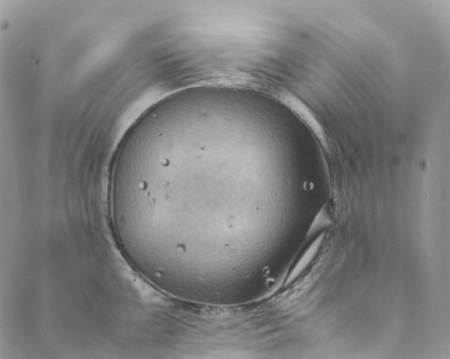 X0000089431099200706291308