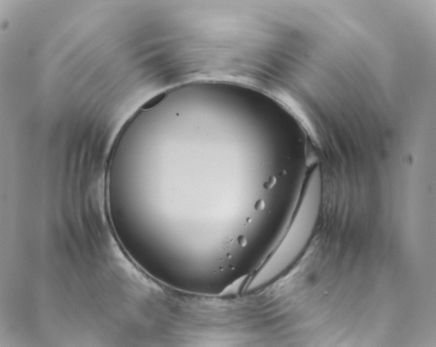 X0000089431100200706291308