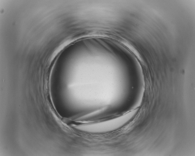 X0000089431101200706291308