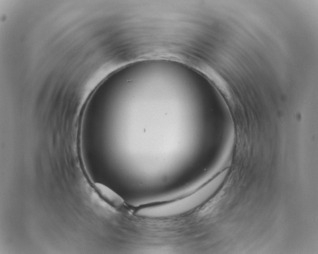 X0000089431102200706291308