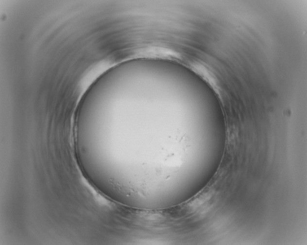 X0000089431103200706291308