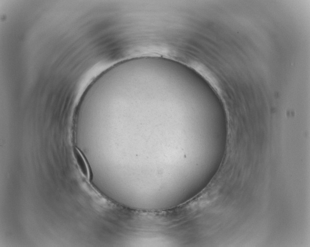 X0000089431104200706291308