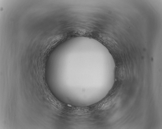 X0000089431105200706291307