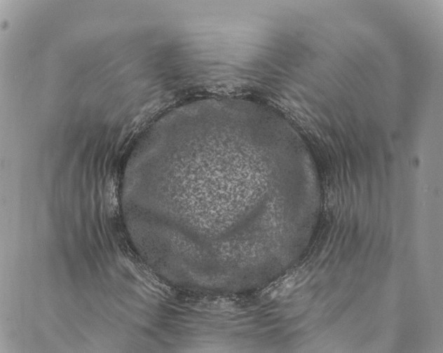 X0000089431106200706291307