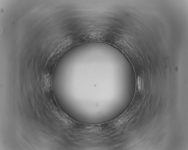 X0000089431107200706291307