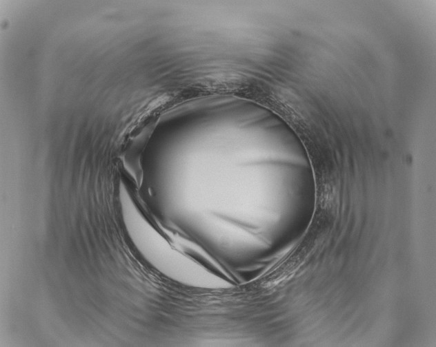 X0000089431108200706291307