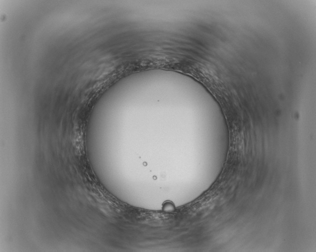 X0000089431109200706291307