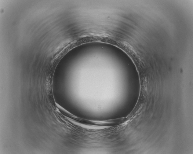 X0000089431110200706291307