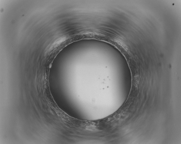 X0000089431111200706291307