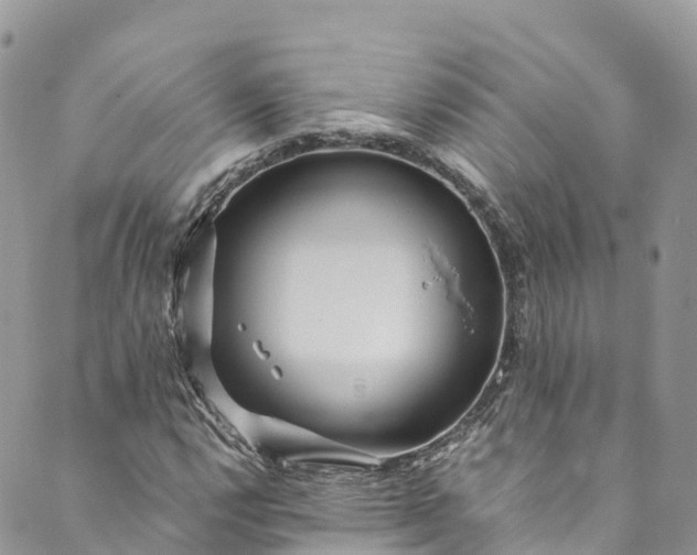 X0000089431112200706291307