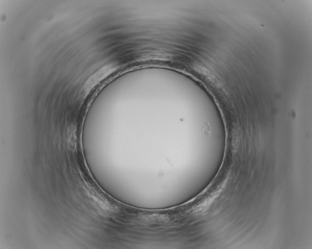 X0000089431113200706291307