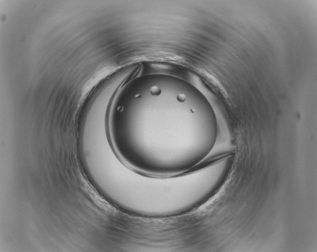 X0000089431114200706291307