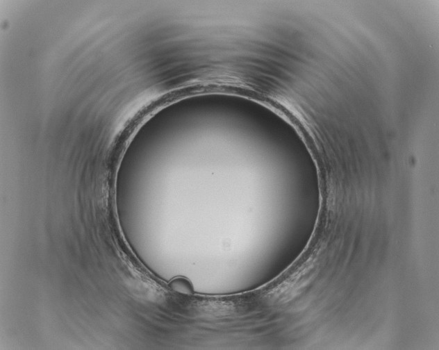 X0000089431115200706291307