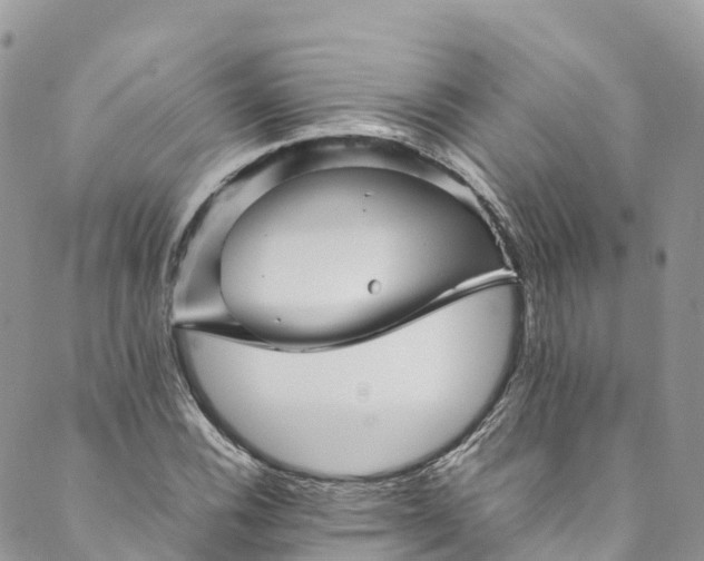 X0000089431116200706291307