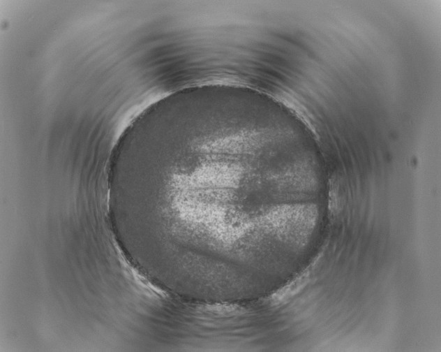 X0000089431117200706291307