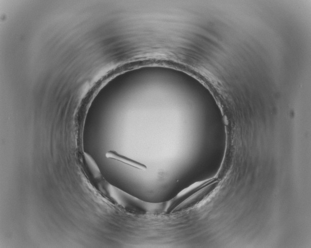 X0000089431118200706291307