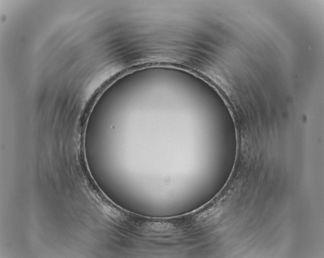 X0000089431119200706291307