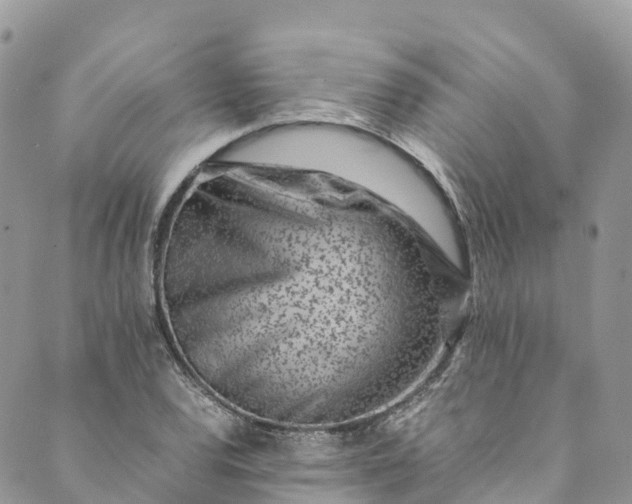 X0000089431120200706291307