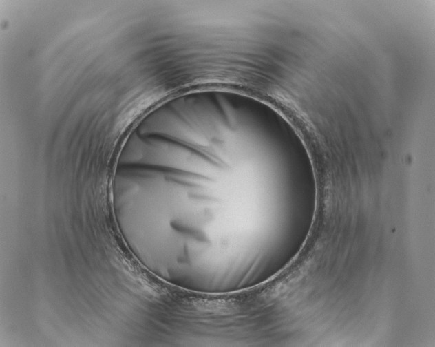 X0000089431121200706291307