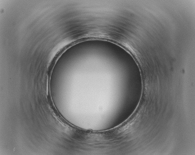 X0000089431123200706291307