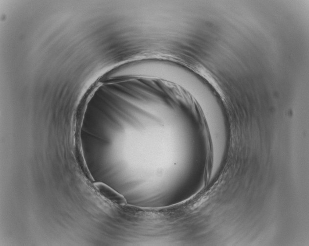 X0000089431124200706291307