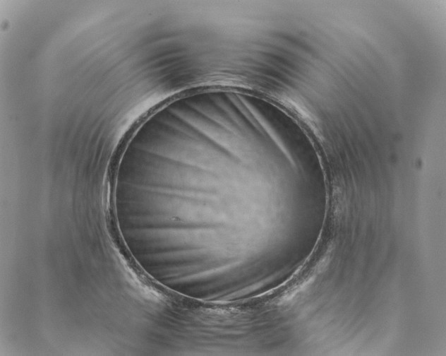 X0000089431125200706291307