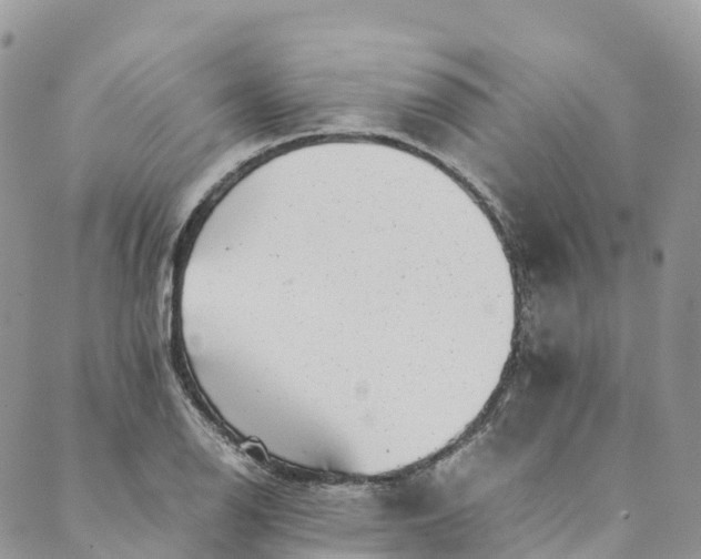 X0000089431126200706291307