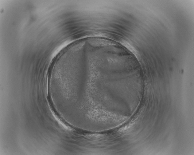 X0000089431127200706291307