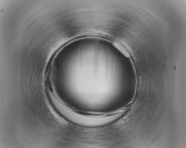 X0000089431128200706291307