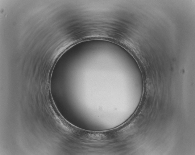 X0000089431129200706291307