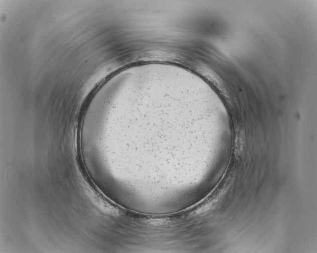 X0000089431130200706291307