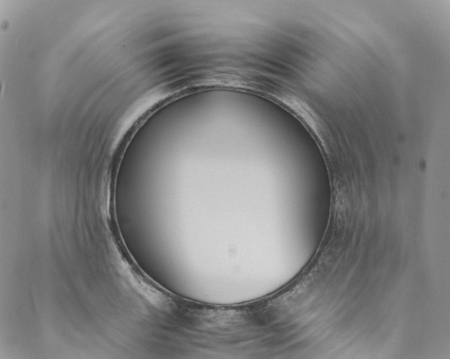 X0000089431131200706291307