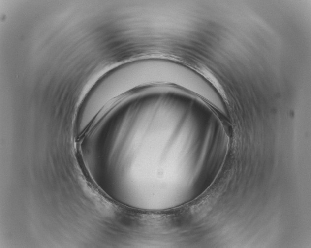 X0000089431132200706291307