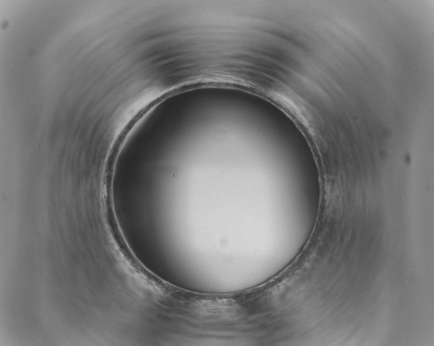 X0000089431133200706291307