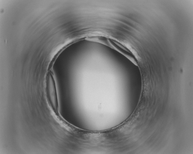 X0000089431134200706291307