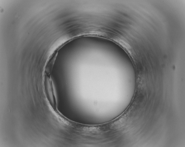 X0000089431135200706291307