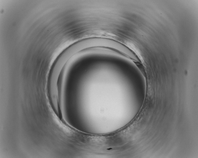 X0000089431136200706291307