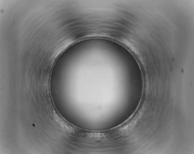 X0000089431137200706291307