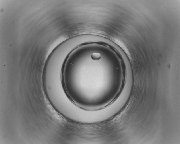 X0000089431138200706291307