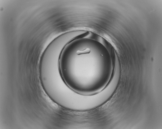 X0000089431140200706291308