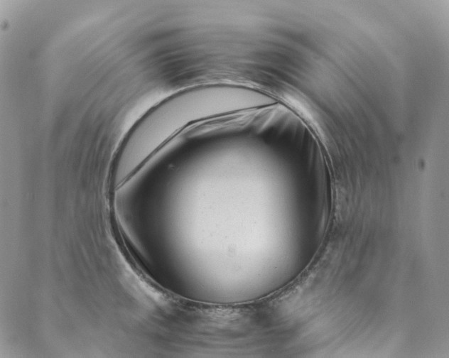 X0000089431141200706291308