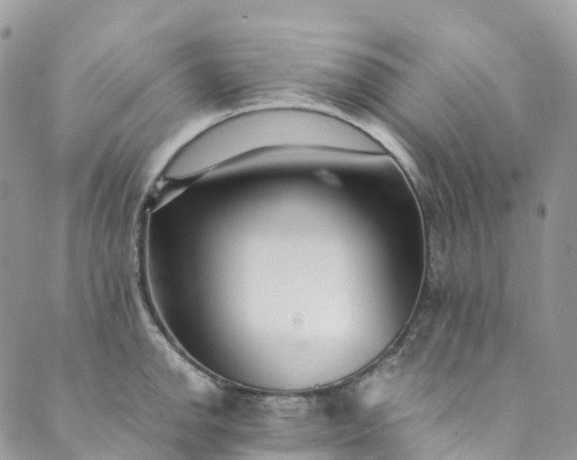 X0000089431142200706291308